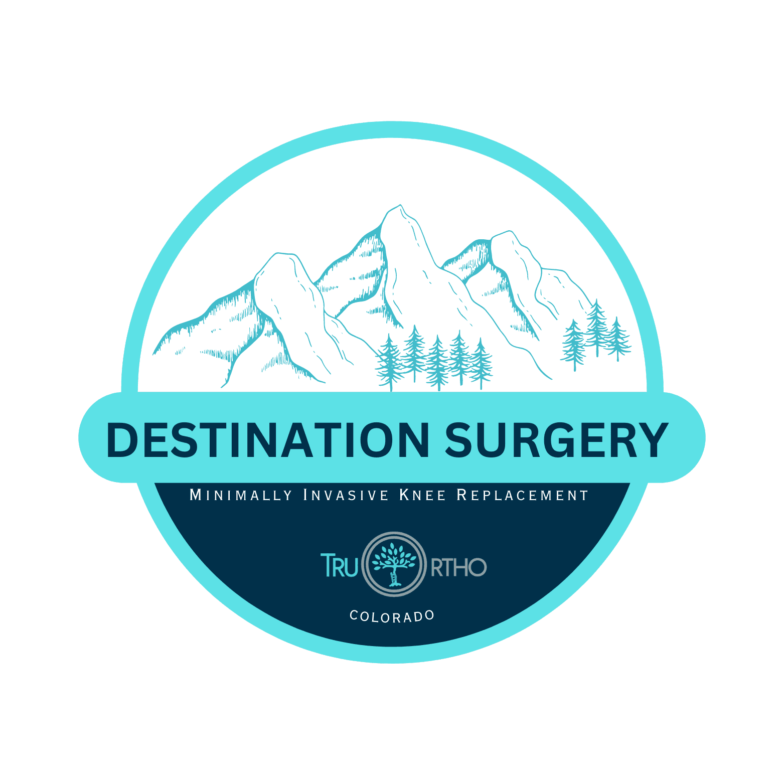 Destination Surgery — Minimally Invasive Knee Replacement